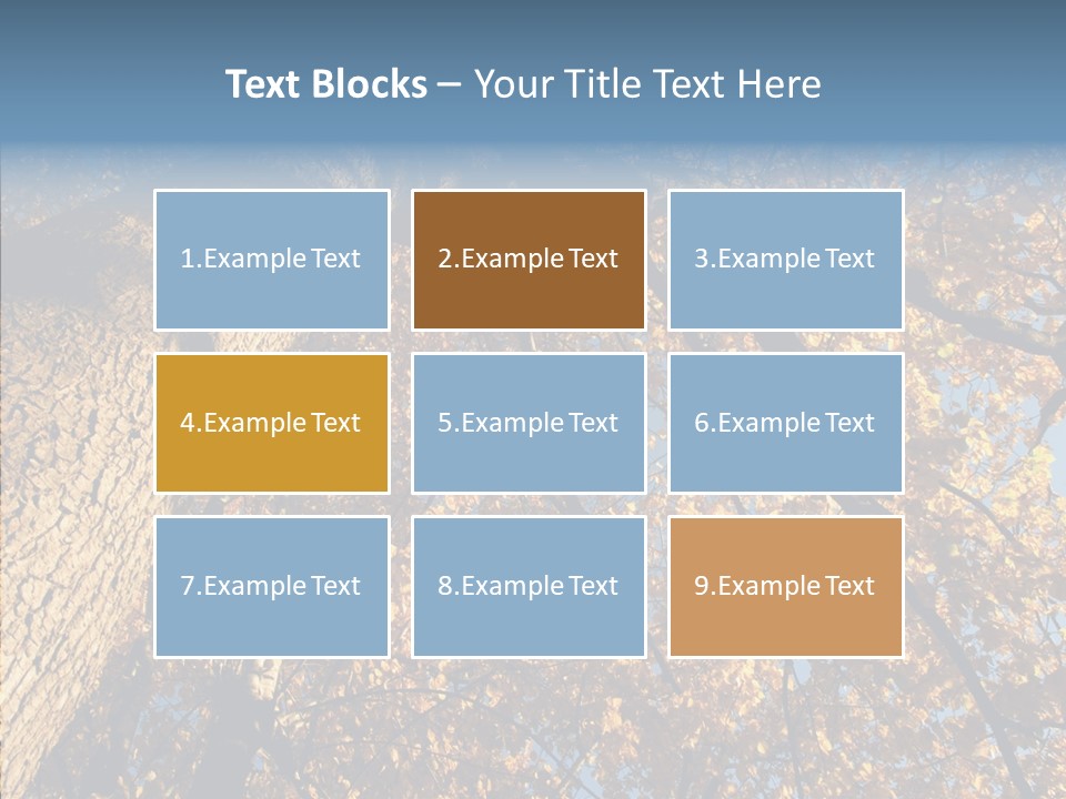 Orange Beautiful Cork PowerPoint Template