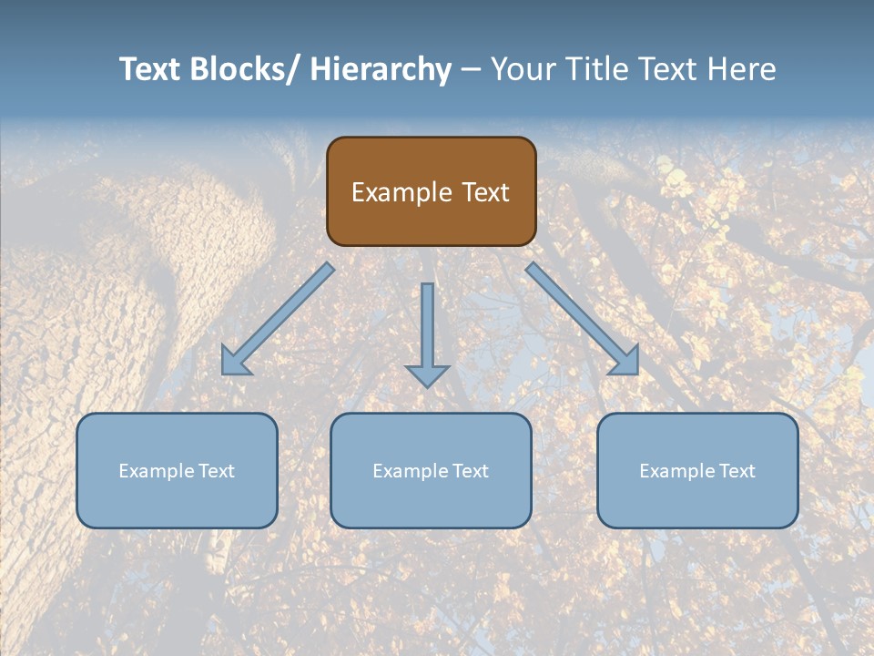Orange Beautiful Cork PowerPoint Template
