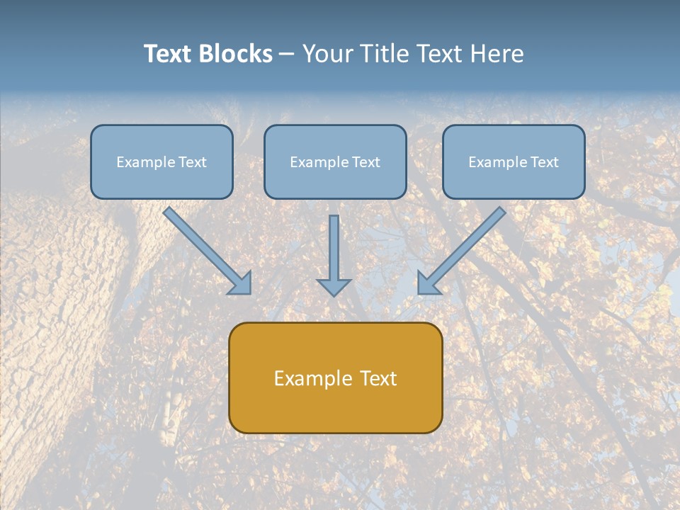 Orange Beautiful Cork PowerPoint Template