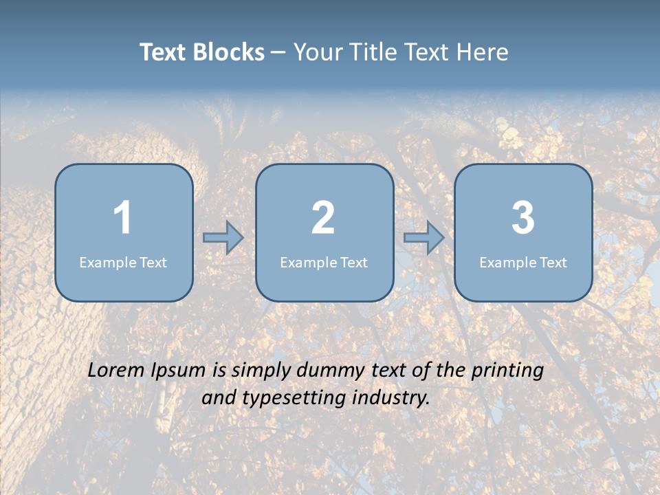 Orange Beautiful Cork PowerPoint Template