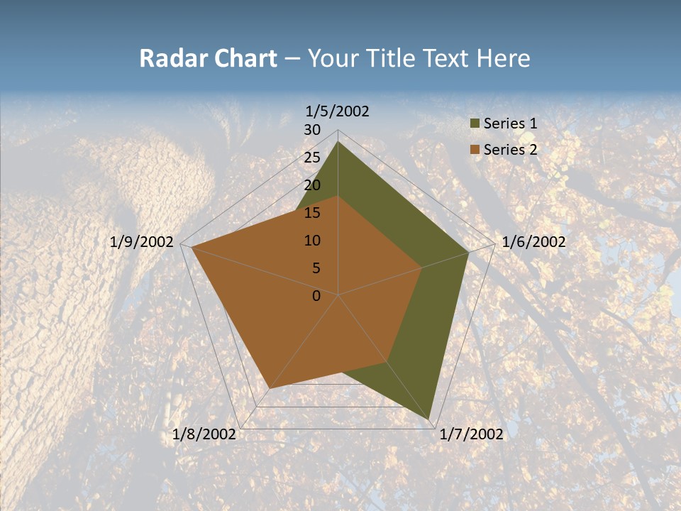 Orange Beautiful Cork PowerPoint Template