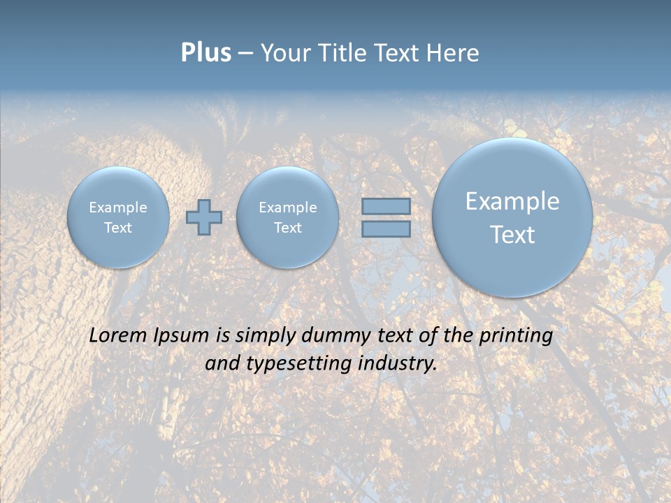Orange Beautiful Cork PowerPoint Template
