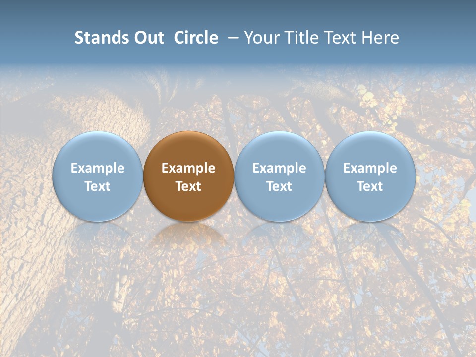 Orange Beautiful Cork PowerPoint Template