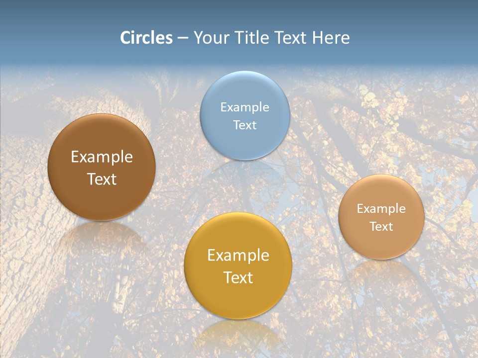 Orange Beautiful Cork PowerPoint Template