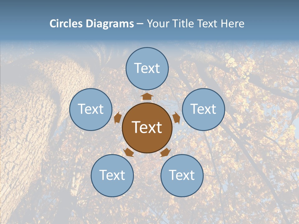 Orange Beautiful Cork PowerPoint Template