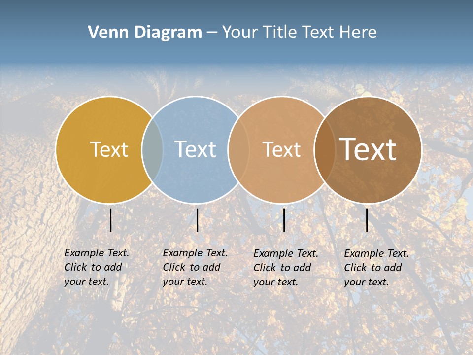 Orange Beautiful Cork PowerPoint Template