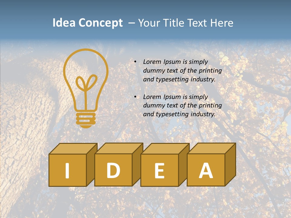 Orange Beautiful Cork PowerPoint Template