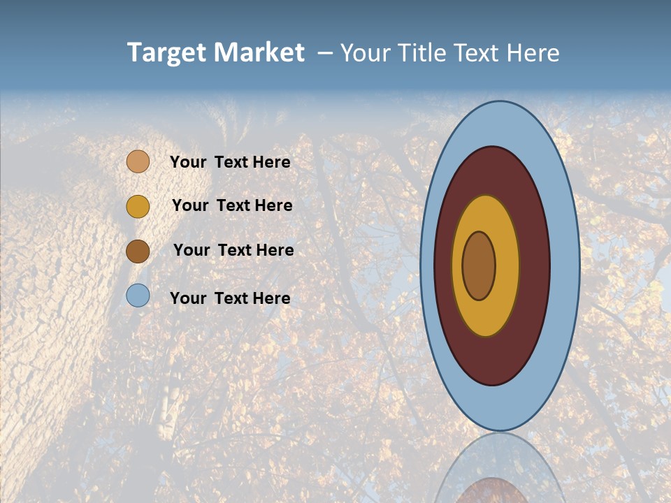 Orange Beautiful Cork PowerPoint Template