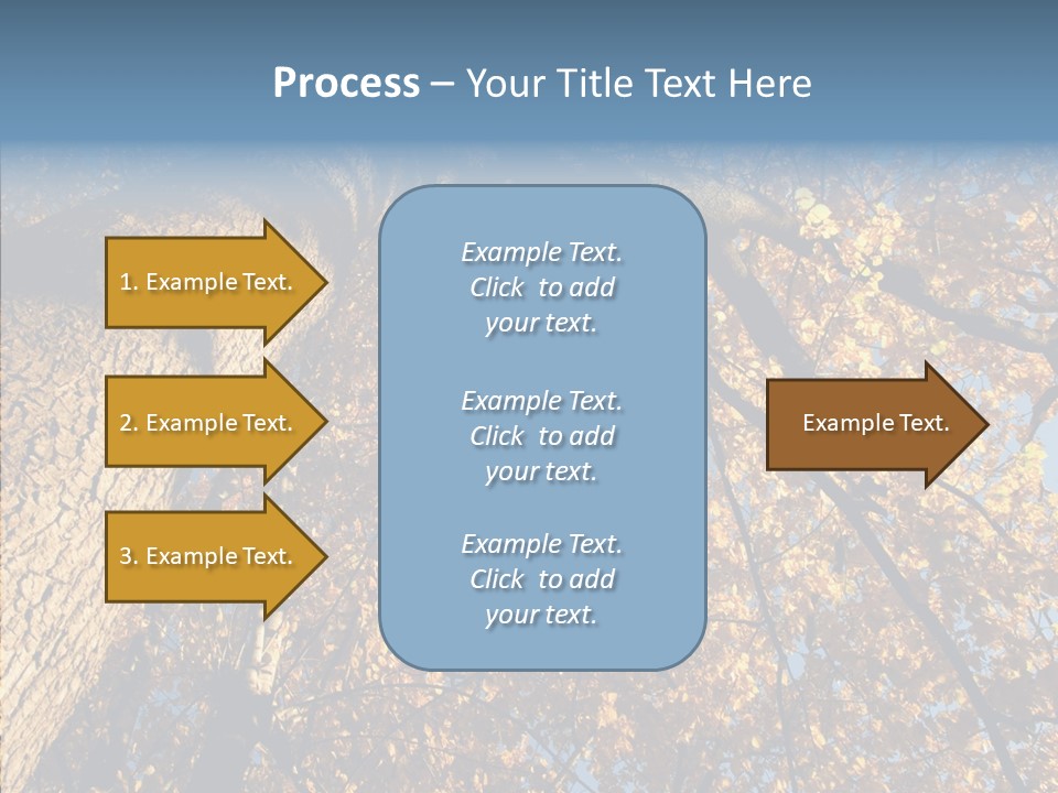 Orange Beautiful Cork PowerPoint Template