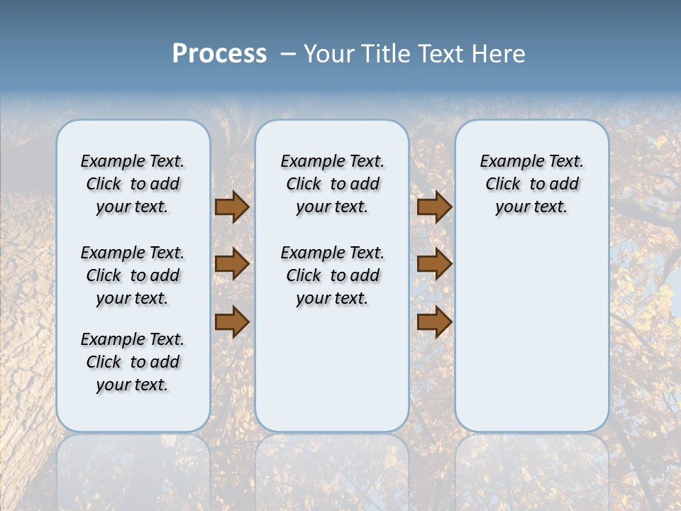 Orange Beautiful Cork PowerPoint Template