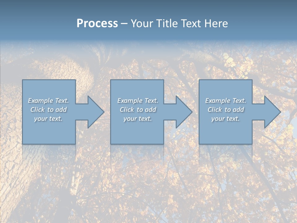 Orange Beautiful Cork PowerPoint Template
