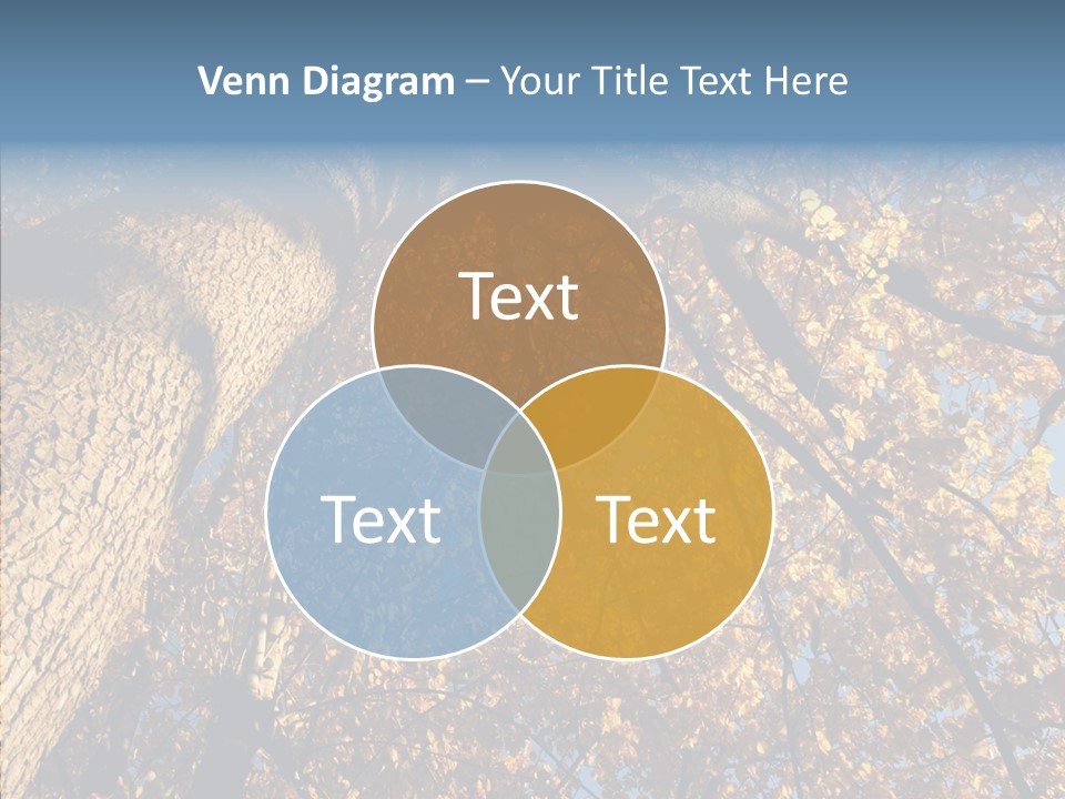 Orange Beautiful Cork PowerPoint Template