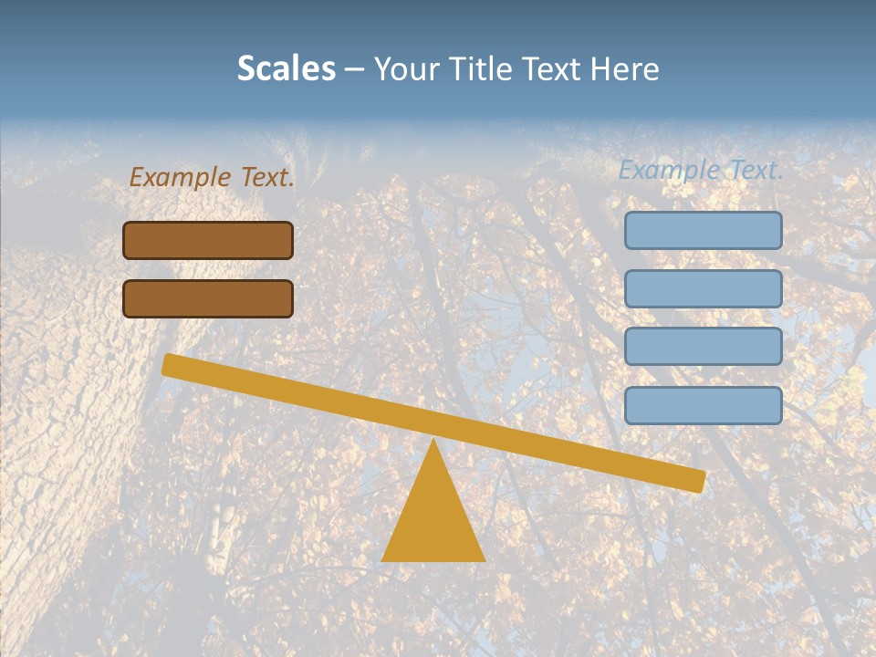 Orange Beautiful Cork PowerPoint Template