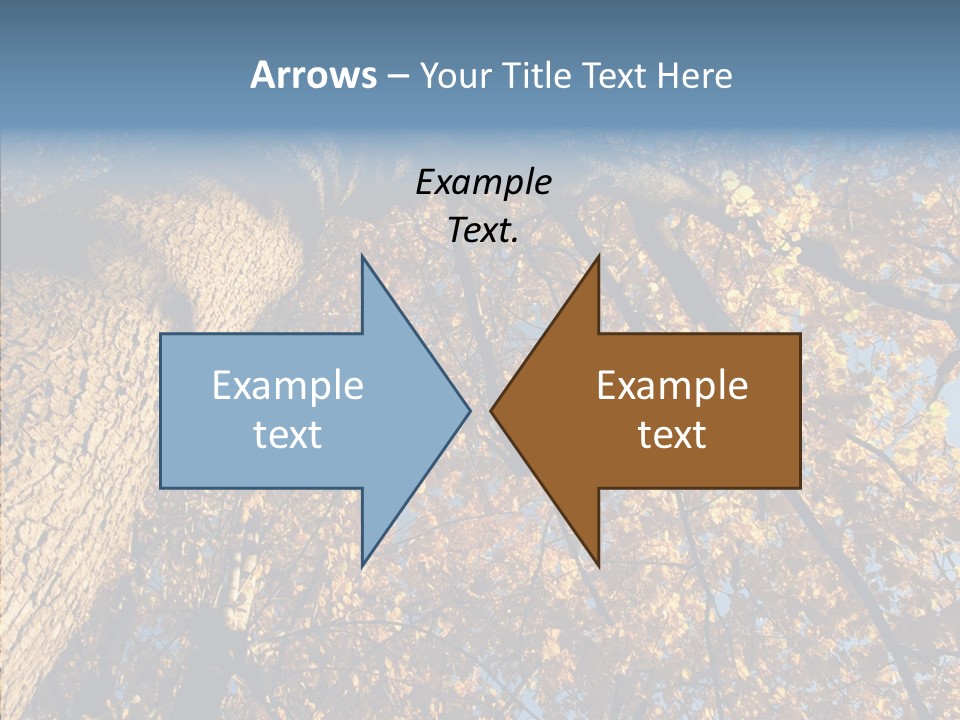 Orange Beautiful Cork PowerPoint Template