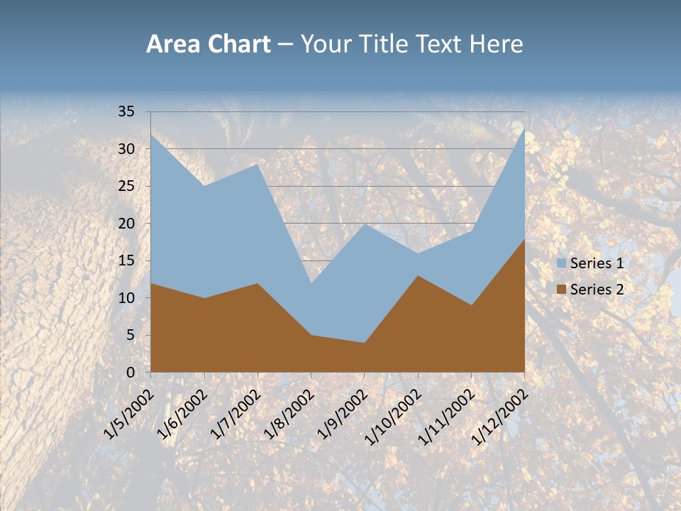 Orange Beautiful Cork PowerPoint Template