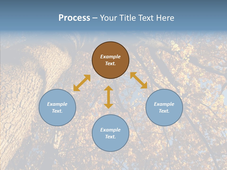 Orange Beautiful Cork PowerPoint Template