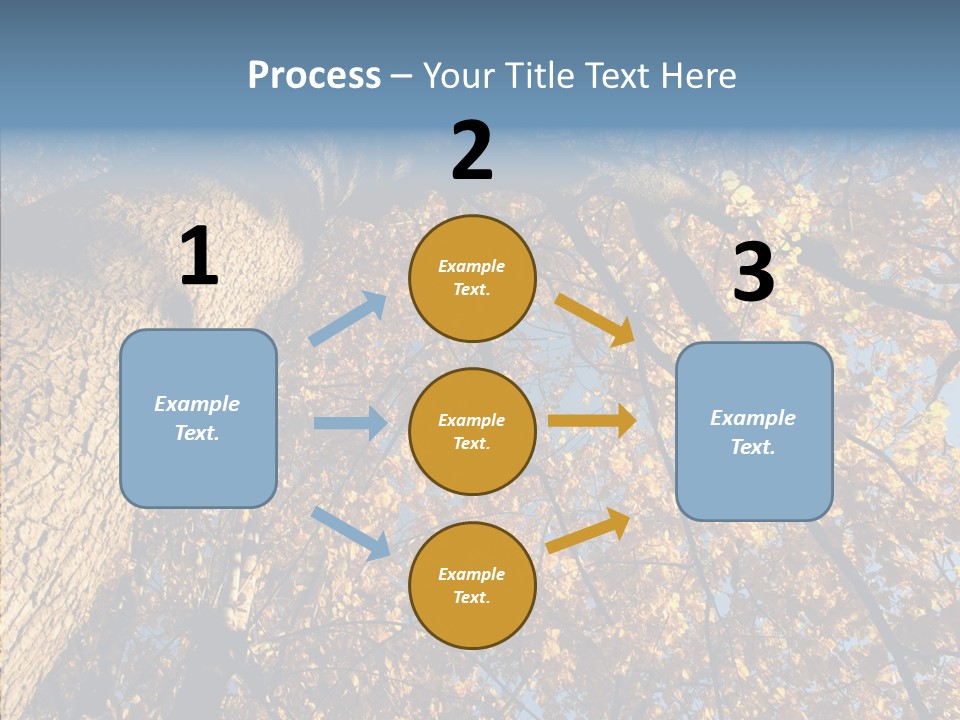 Orange Beautiful Cork PowerPoint Template