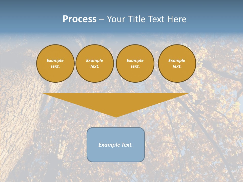 Orange Beautiful Cork PowerPoint Template