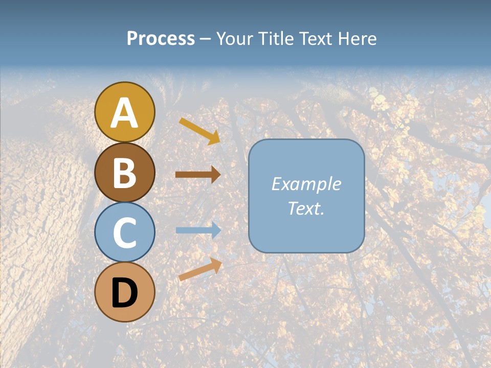 Orange Beautiful Cork PowerPoint Template