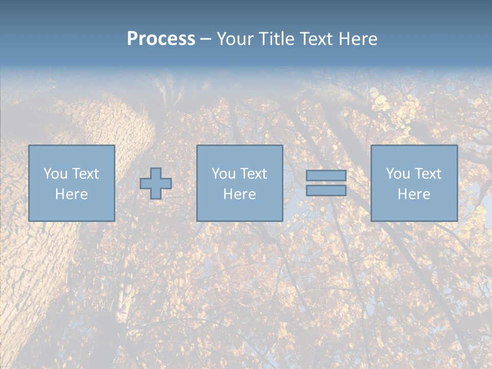 Orange Beautiful Cork PowerPoint Template