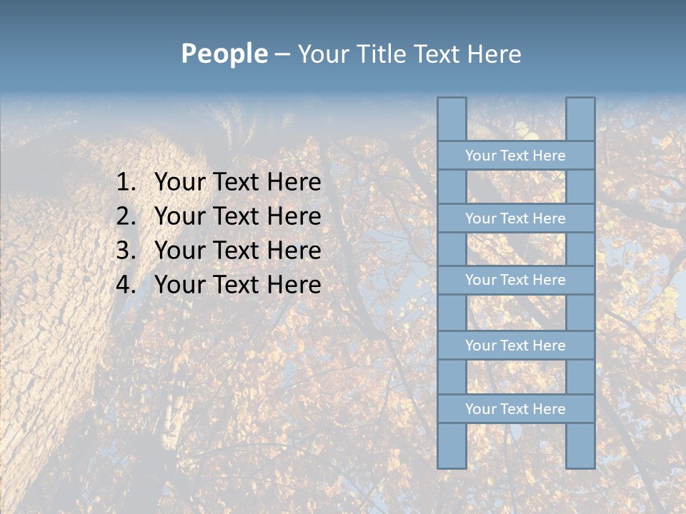 Orange Beautiful Cork PowerPoint Template