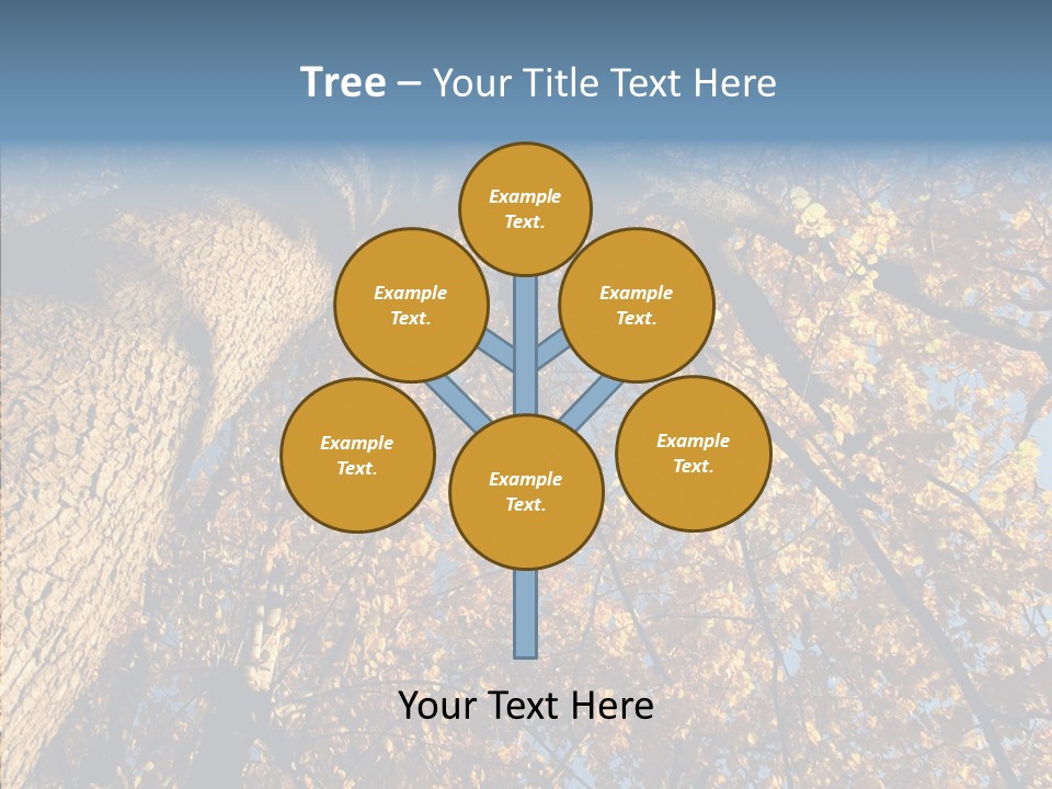 Orange Beautiful Cork PowerPoint Template