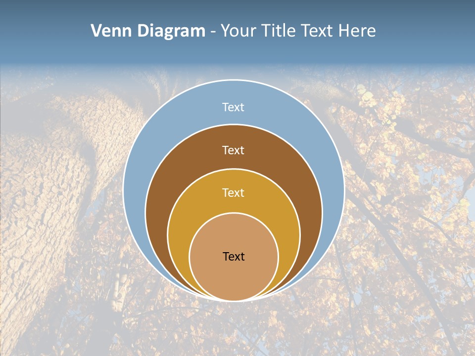 Orange Beautiful Cork PowerPoint Template