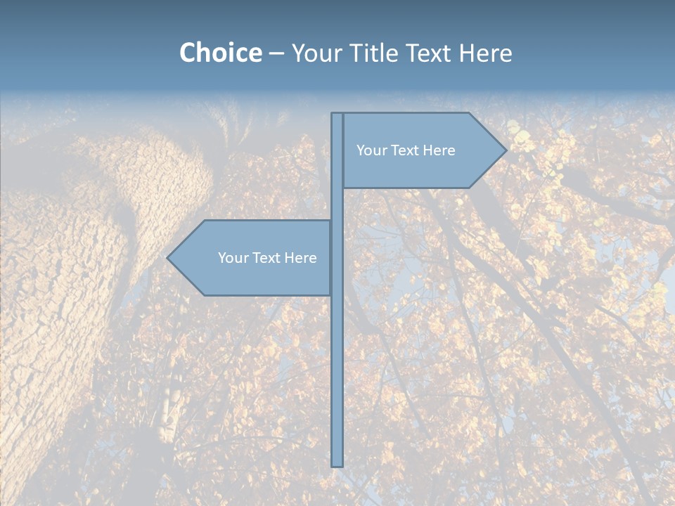 Orange Beautiful Cork PowerPoint Template