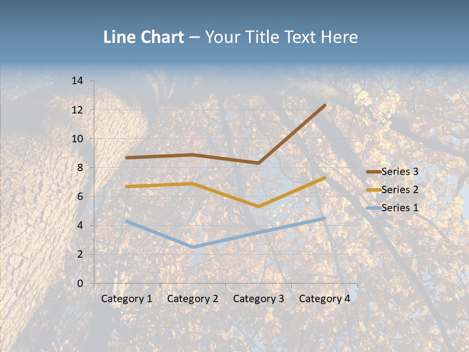 Orange Beautiful Cork PowerPoint Template