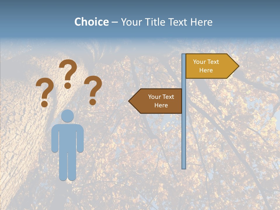 Orange Beautiful Cork PowerPoint Template