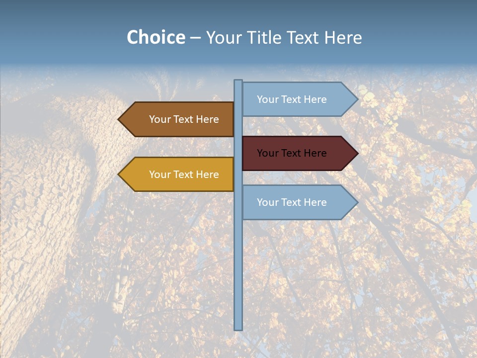 Orange Beautiful Cork PowerPoint Template
