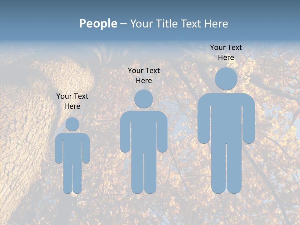 Orange Beautiful Cork PowerPoint Template