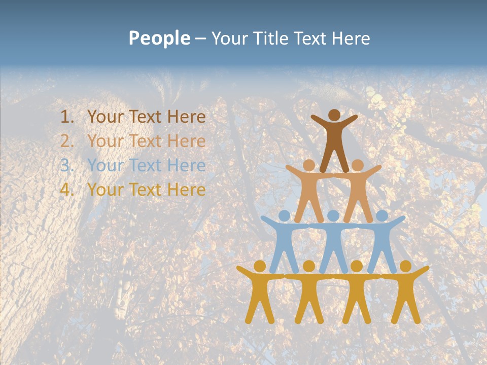 Orange Beautiful Cork PowerPoint Template