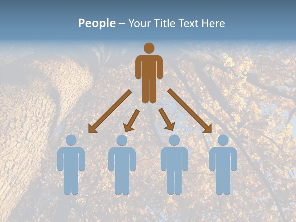 Orange Beautiful Cork PowerPoint Template