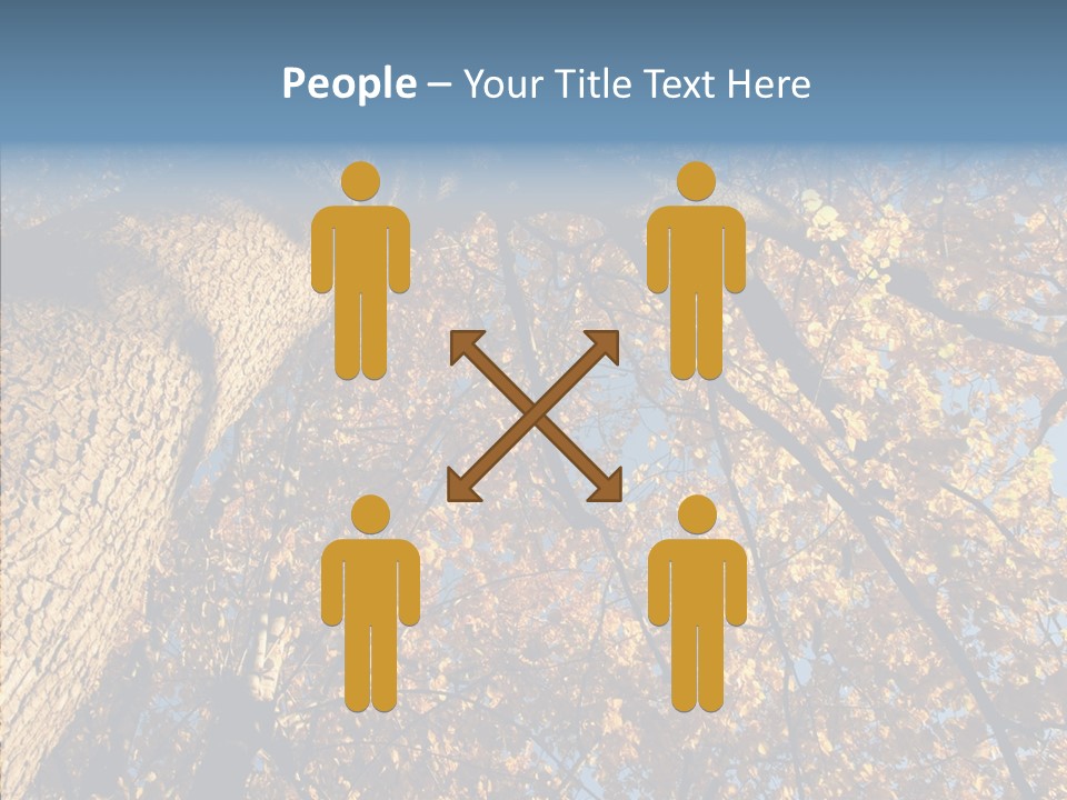 Orange Beautiful Cork PowerPoint Template