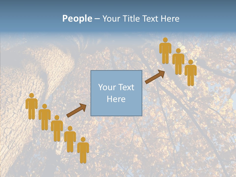 Orange Beautiful Cork PowerPoint Template