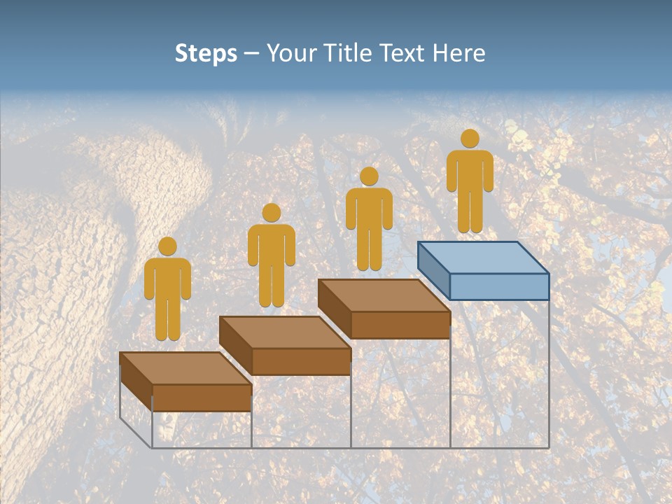 Orange Beautiful Cork PowerPoint Template