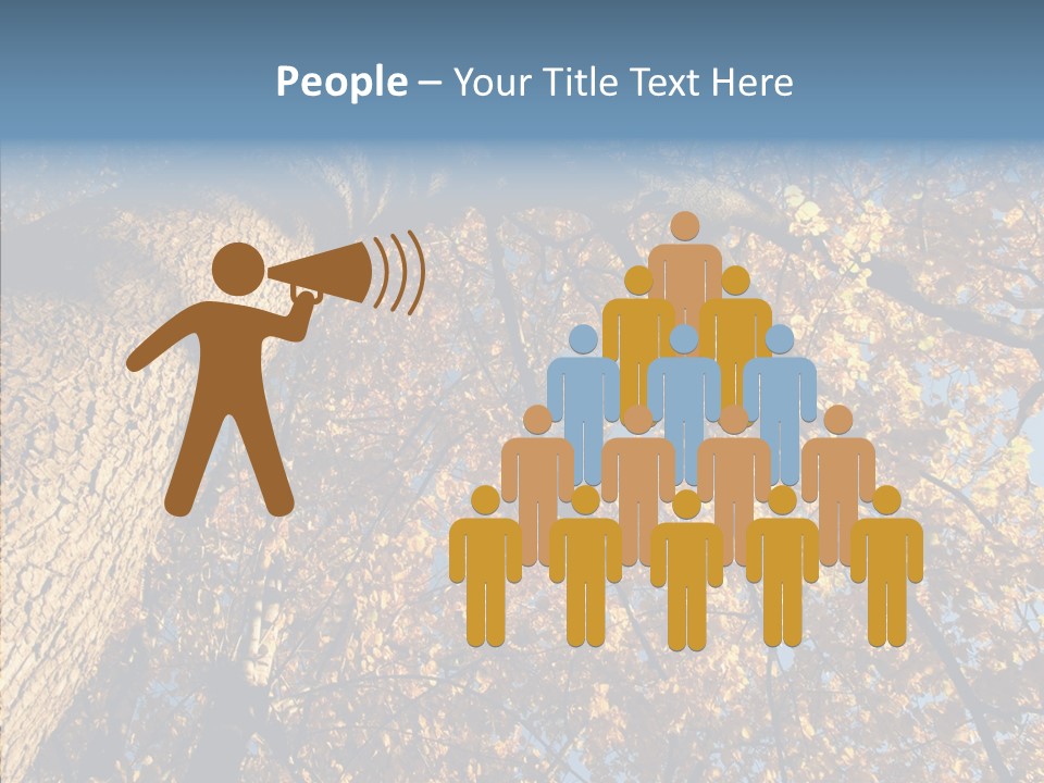 Orange Beautiful Cork PowerPoint Template