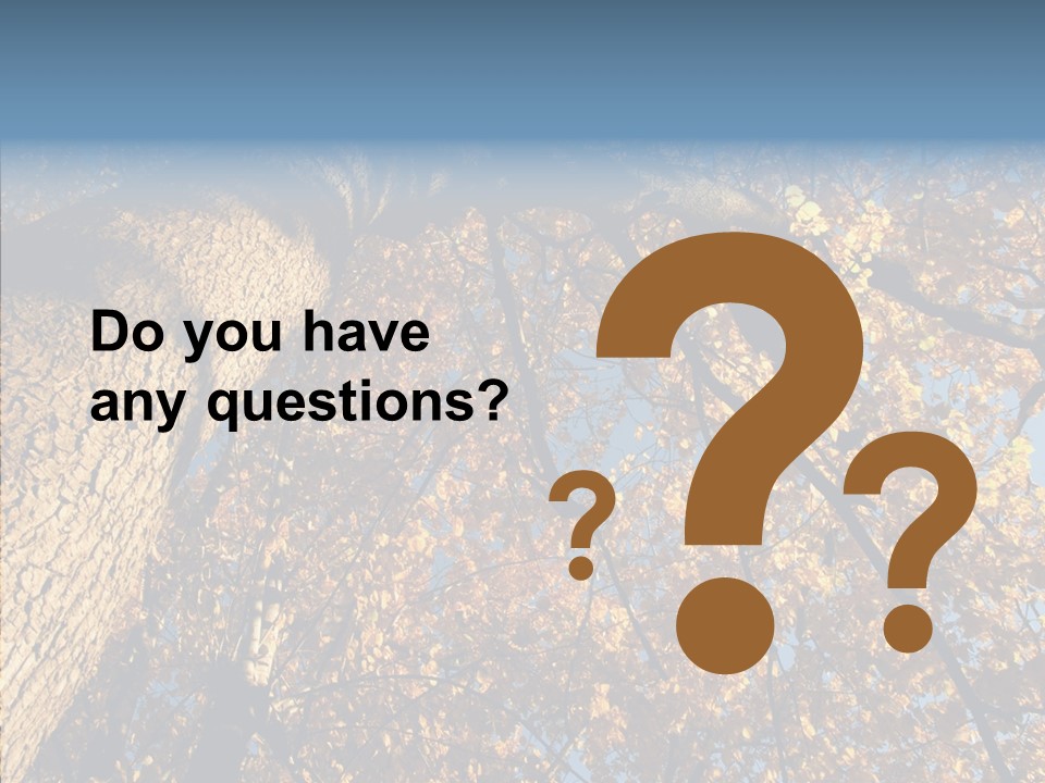 Orange Beautiful Cork PowerPoint Template