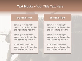 Snow Loud Ii PowerPoint Template