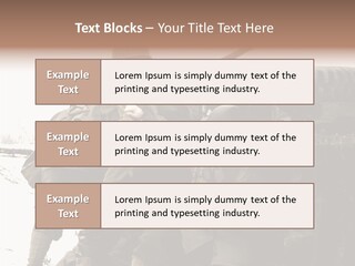 Snow Loud Ii PowerPoint Template