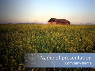 Day Field Landscape PowerPoint Template