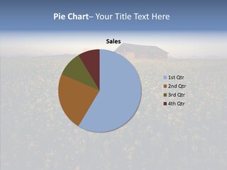 Day Field Landscape PowerPoint Template