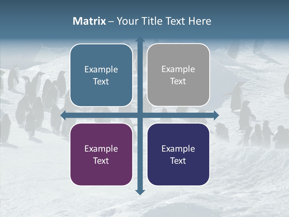 Run Change Ecotourism PowerPoint Template