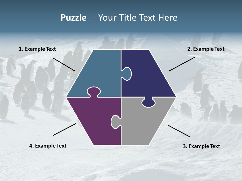 Run Change Ecotourism PowerPoint Template