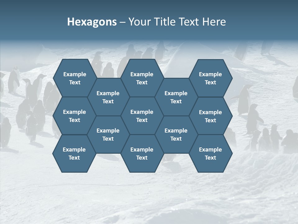 Run Change Ecotourism PowerPoint Template