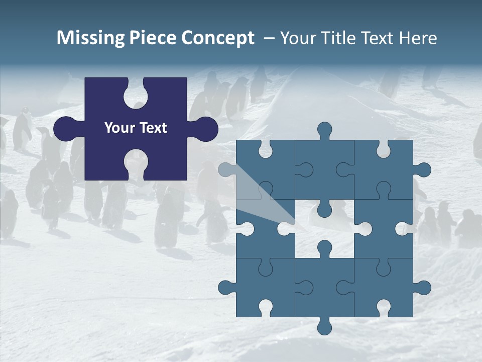 Run Change Ecotourism PowerPoint Template