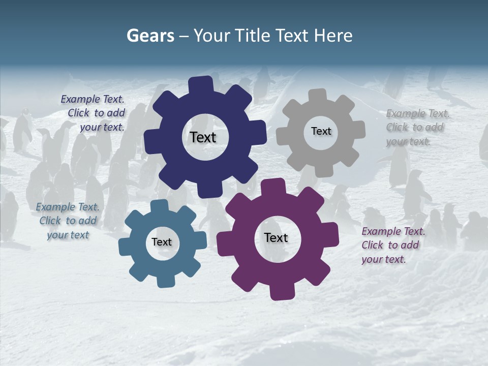 Run Change Ecotourism PowerPoint Template