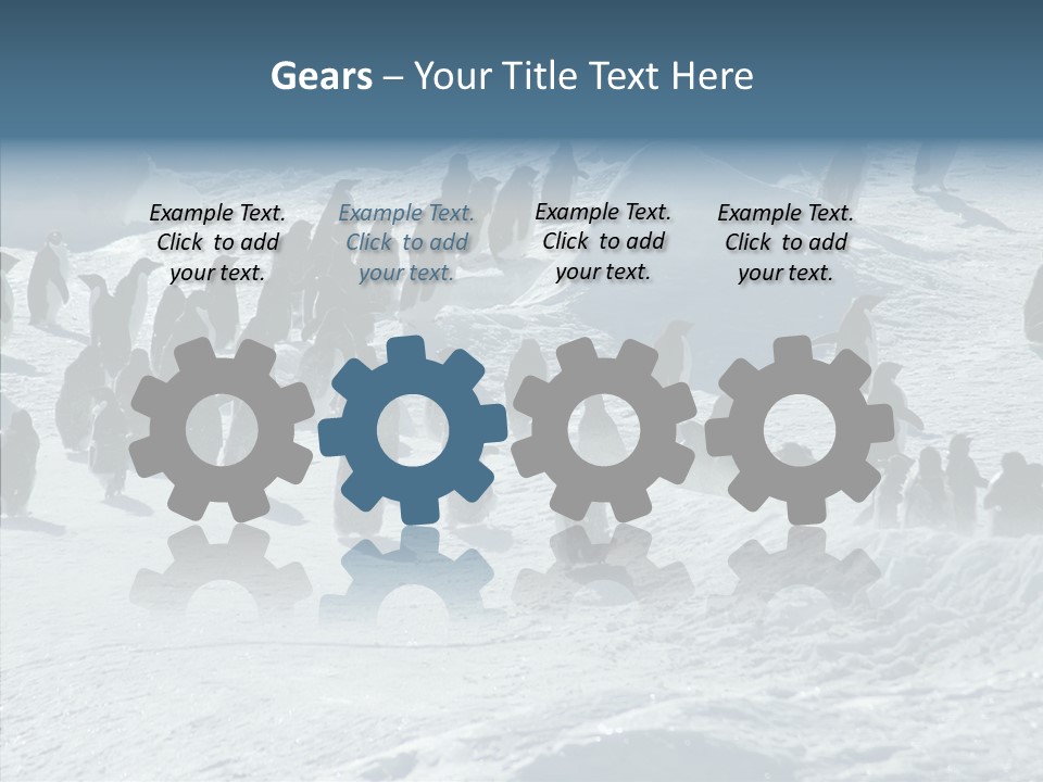 Run Change Ecotourism PowerPoint Template