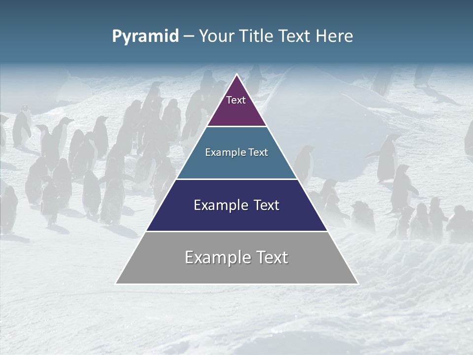 Run Change Ecotourism PowerPoint Template